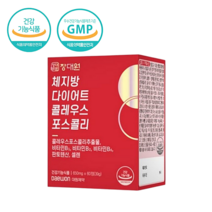 대원제약 장대원 체지방 다이어트 보조제 60정 빨간통 l-카르니틴 갱년기 감소 콜레우스포스콜리 빨간맛 허성태 허블리 남자 여자 여성 남성 20대 30대 40대