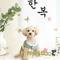 패리스독 반려동물 보이즈 한복, 네이비