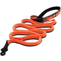 Creation Core Dog 러닝 번지 가죽 조절 손잡이 고무줄 나일론 애완동물 리드 로프 496246, Orange_L 1