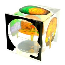 뇌 구조 모형 큐브 (10인용)