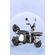 삼륜 전동 스쿠터 동반 애견 전동자전거 성인용 세발, 600W 모터 (48V) 22ah 블랙 골드