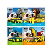 h51 3D체험 증강현실시리즈 4종 택1 아름답고신기한새 헝겊책/블루래빗/영어사운드북/비/멜로디북/토이북/립프로그/에듀볼/촉감책/돌잡이풀패키지, 단일 출판사