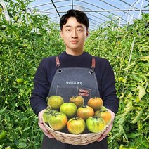 [청년진또배기] 대저 짭짤이 토마토 로얄과 중과 2.5kg 5kg 짭짜리, [옵션1] 대저 토마토 2.5kg, 1개