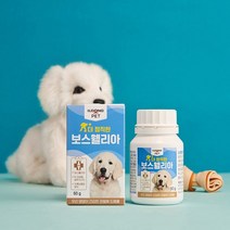 일동펫 프리바이오틱스 유산균 더 정직한 보스웰리아 관절영양제 60g, 보스웰리아 강아지 60g