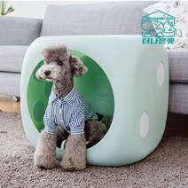 도그플렉스 주사위 파스텔민트