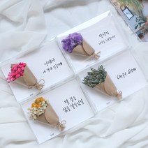 드라이플라워 카드 모음전(+문구)/가로형 엽서/생일 감사 기념일편지 메시지, 문구추가 20자이내, 22. 스타티스(보라)