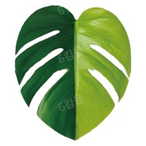 식물 소켓 접이식 그립 Tok Pretty Leaf 아크릴 전화 홀더 아이폰 13 범용 스마트 폰 그립 토크 브래킷 손, Y-1