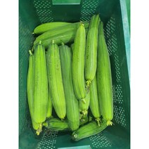 식용생수세미 국내재배 베트남 수세미 동남아시아야채 수세미, 500g, 1개