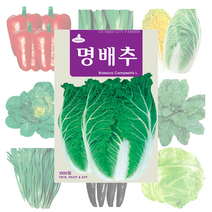 배추 고추 파프리카 씨앗 25종, PR노나다고추 15립