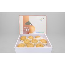 나주배원예농협 신고(특) 15kg, 1박스, 15kg(16-20과)