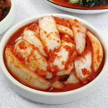 옥선김치 [식품의즐거움] 100% 우리 농산물로 만든 해남 별미김치 1kg 8종, 양파김치 1kg