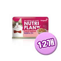동원 뉴트리플랜 고양이 주식 간식 캔 12개 + 증정 헬시츄 2P, 흰살참치와연어 160g 12개 + 츄르2p