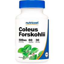 뉴트리코스트 콜레우스 포스콜리 500mg 캡슐, 60개입, 1개
