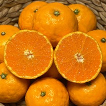 [팜니스] 제주 설국향 수라향 신비향 아스미 못난이 3kg 5kg 10kg, 설국향 상품 2.5kg, 1개