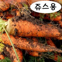 2023년 국내산 흙당근 쥬스용 (크기랜덤), 5kg, 1개