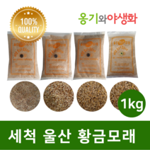 옹기와야생화 세척 울산 황금모래 3호 1kg 자연의색 다육파종