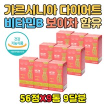 상체살 복부 뱃살 빼기 체지방 감소 건강 기능 식품 가르시니아 가르니시아 HCA 홈트 다이어트 20대 30대 40대 50대 남자 여자 중년 처진 종아리살 탄수화물 컷팅제
