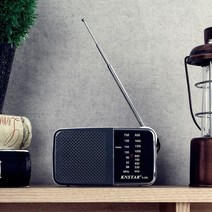 가로형 아날로그 AMFM 휴대용 효도라디오 W88C60D, 수앤진쿠팡 본상품선택