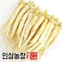 더굿진생 금산인삼 수삼 세척 원수삼 실속형, 1개, 세척인삼450g(18~24뿌리)