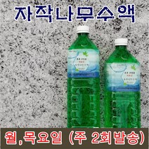 [율아트반수액] 장재근 목초수액시트, 1세트, 40포