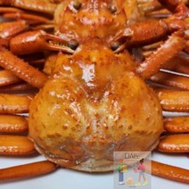 홍게_구룡포_2.5kg_자숙_프리미엄_YX_, 상세페이지 참조