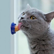 고양이 마약 빨판 캔디 반려묘 용품 사탕 간식, 고양이빨판그린 SE02011