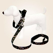 대형견 훈련 밀리터리 목줄 리드 세트 소형견 비숑 행동교정 리트리버 펫로프 개줄