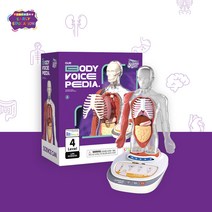 티처스 얼리에듀 사이언스캔 생명과학 인체 장기 관찰 과학교구, 단품