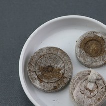 다육이야기 지피펠렛7 44mm 10개
