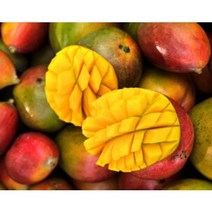 [망고맛집] 산지직송 고품격 제주애플망고 선물용 가정용 미니애플망고 2kg/3kg, 3kg(5~9과)