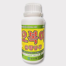 오복이500ml - 비료 영양제 병해충예방제 황비료 유황규산 영양제 고추 배추 마늘 양파 모든작물 병해예방제, 오복이500ml (1병)