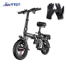 세계일주 접이식 전기자전거 350W 48V 10A 35km전동 접이식 배달용 출퇴근 경량형 CK55, 8A(25km)