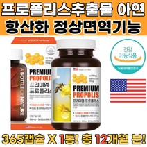 미국산 프로폴리스 아연 온가족영양제 대용량 1년분 꿀벌프로폴리스 프로폴리스여드름 프로폴리스야연 프로폴리스2000 입안이헐었을대 입냄새영양제 비프로폴리스 프로폴리스먹는법
