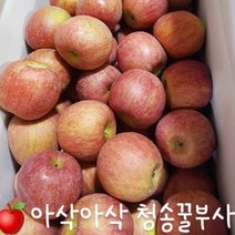 청송 산지 햇부사!!! 아~삭 새콤달콤한 부사 사과!!! 3kg / 5kg / 10kg, 꼬마사과10kg(53~58개)