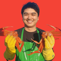 [당일조업][구룡포직송]수율보장 명품 박달 연지 홍게 3KG 6KG 포항 구룡포 영덕 울진, [실속형]  연지홍게 6kg (20-23미)