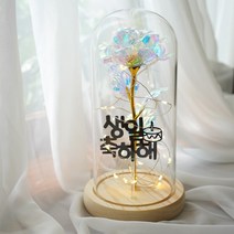 굿라이프 토퍼문구 홀로그램 LED 장미 유리돔 무드등 홀로그램꽃 우드받침대, 08.생일축하해