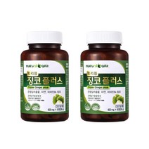 위드헬스 혈액순환 은행잎추출물 혈행개선 징코 플러스 영양제 (4개월분), 2병, 600mgx60정