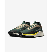 나이키 페가수스 트레일 4 고어-텍스 FD0317-333 남성 방수트레킹화 런닝화 매장정품