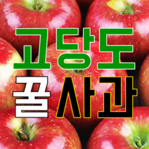 산지직송 부사 싱싱한 소미네 꿀사과~ 23년 햇사과, 1box, 1.가정용 흠과 2kg 소과