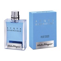 페라가모 아쿠아 에센셜 뿌르옴므 EDT 100ml, 1개