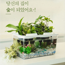 수경식물재배 어항 열대어 수중 관상 공기정화 (식물포함) 가습 사무실 가정용 매장 까페 힐링제품, 일반형