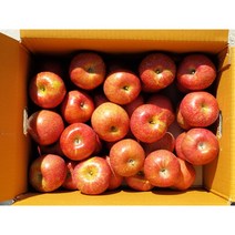 전북장수사과 부사사과 10kg 40과내외 2022 햇사과 단일농장 후지사과 산지직송 고냉지사과 장수사과농장 사과유명한곳 장수사과