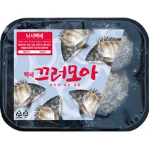 낚시백세 끄러모아 바지락 올인원 밑밥 감성돔