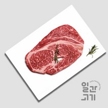 신선식품(브랜드없음) [일간고기][냉장]1++(7이상)등급 한우 등심 400g, 단품없음