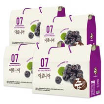 아로니아즙 4박스 120포