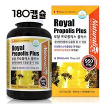 로얄 프로폴리스180캡슐 로얄젤리 농축 분말 비타민 무기질 아미노산 항산화 대두레시틴 여왕 벌