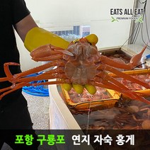 이츠올릿 포항 구룡포 연지 자숙 홍게 3kg 속초 포항 홍개 주문진 영덕 박달 대게, 상세페이지 참조3, 박달급_4kg 10미 （수율 80%내외）