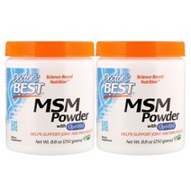 닥터스베스트 MSM 가루 파우더 250g 2개세트, 1개, 250g x 2개