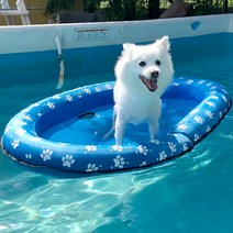 마브펫 대형 강아지 튜브 보트 2인용, 블루