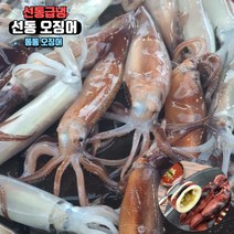 원양 선동 오징어 냉동 통 오징어 통찜 숙회 통오징어찜, 4kg, 1개